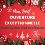 boutique ouverte noel